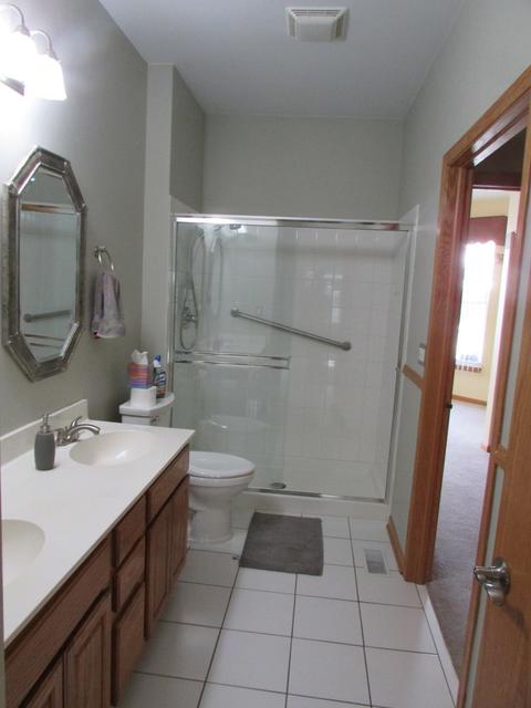 21362 W Juniper Ln, Plainfield, IL 60544 photo 10