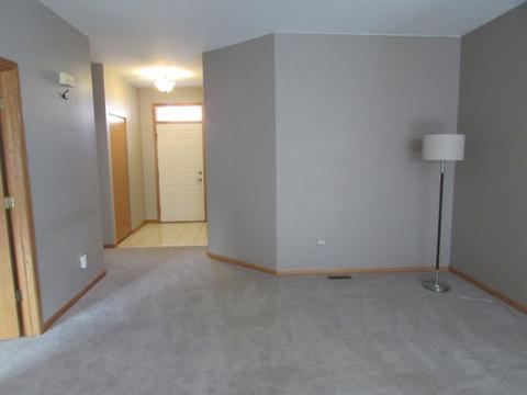 21362 W Juniper Ln, Plainfield, IL 60544 photo 4