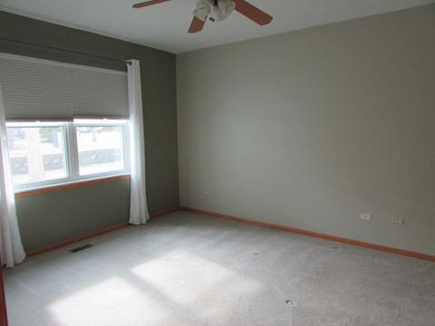 21362 W Juniper Ln, Plainfield, IL 60544 photo 6