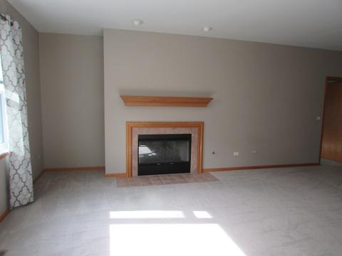 21362 W Juniper Ln, Plainfield, IL 60544 photo 3