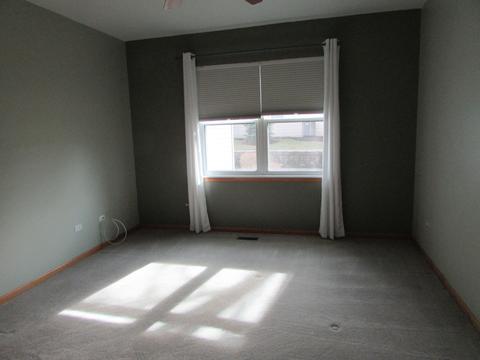 21362 W Juniper Ln, Plainfield, IL 60544 photo 5