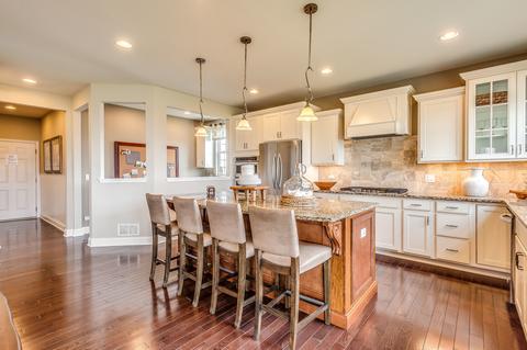 1240 Snapper Rd, Naperville, IL 60563 photo 11