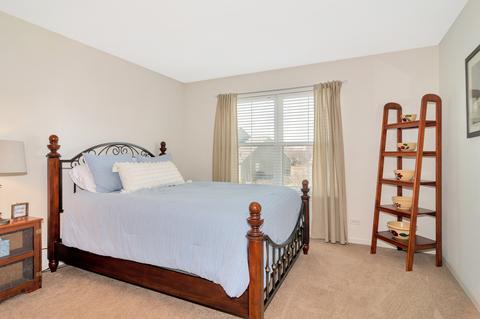 13902 Meadow Ln, Plainfield, IL 60544 photo 27