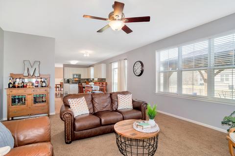 13902 Meadow Ln, Plainfield, IL 60544 photo 17