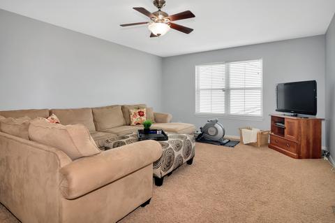13902 Meadow Ln, Plainfield, IL 60544 photo 20