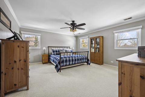 856 Rossmere Ct, Naperville, IL 60540 photo 24