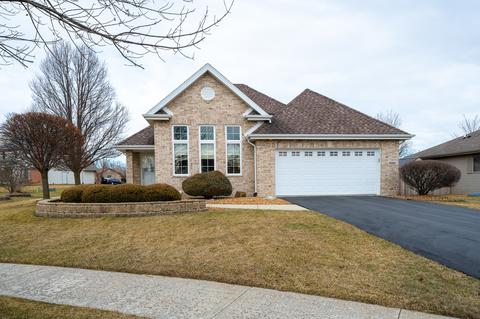 5142 Ribbon Ct, Monee, IL 60449 photo 1
