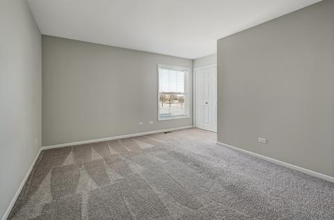 26628 W Red Apple Rd, Plainfield, IL 60585 photo 19