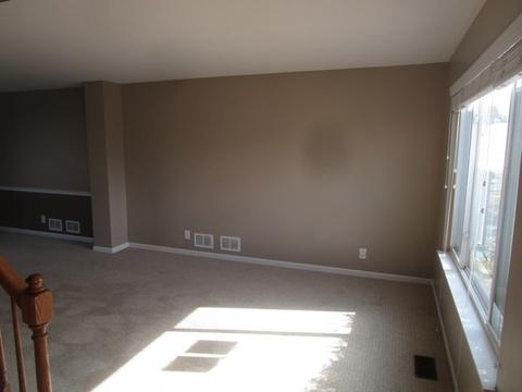 3318 Chestnut Dr, Mchenry, IL 60051 photo 4
