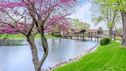 15 Kane Ct, Willowbrook, IL 60527 photo 19