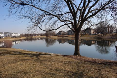 1331 Saddlebrook Rd, Bartlett, IL 60103 photo 23