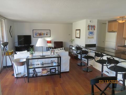 71 E Division St #706, Chicago, IL 60610 photo 4