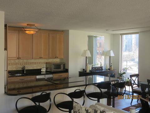 71 E Division St #706, Chicago, IL 60610 photo 5
