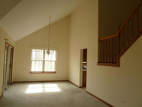 13457 Redberry Cir, Plainfield, IL 60544 photo 10