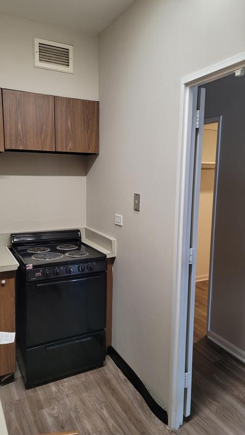175 E Delaware Pl #5605, Chicago, IL 60611 photo 11