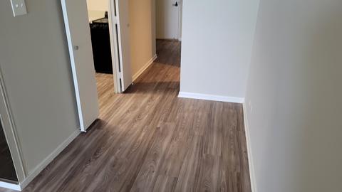 175 E Delaware Pl #5605, Chicago, IL 60611 photo 4