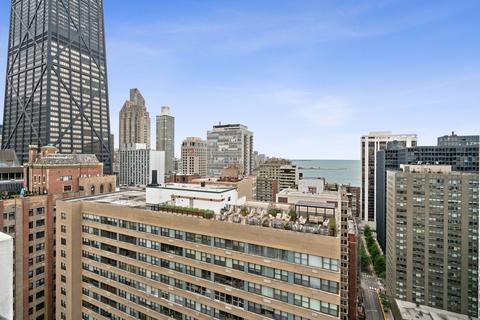 222 E Pearson St #1508, Chicago, IL 60611 photo 28