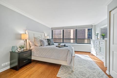 222 E Pearson St #1508, Chicago, IL 60611 photo 12