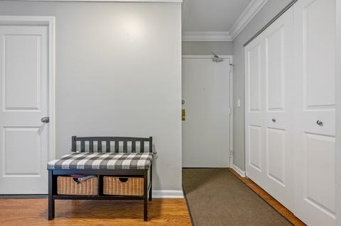 222 E Pearson St #1508, Chicago, IL 60611 photo 18