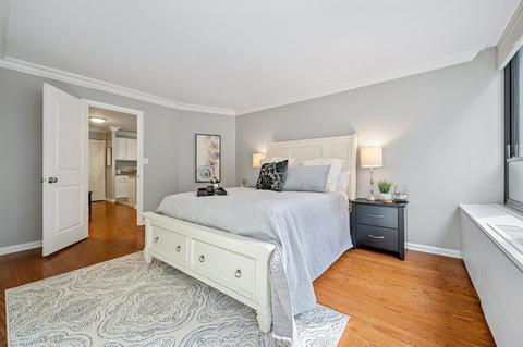 222 E Pearson St #1508, Chicago, IL 60611 photo 13