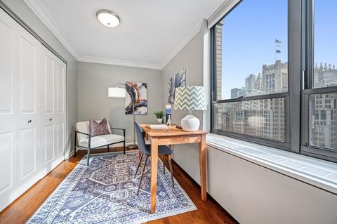 222 E Pearson St #1508, Chicago, IL 60611 photo 14