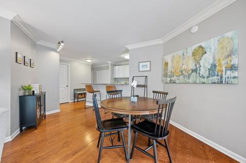 222 E Pearson St #1508, Chicago, IL 60611 photo 8