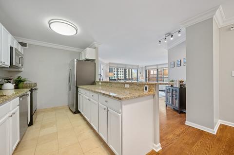 222 E Pearson St #1508, Chicago, IL 60611 photo 10