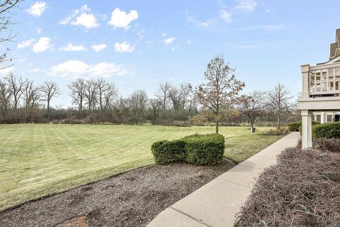 17 E Willow Rd, Wheeling, IL 60090 photo 19