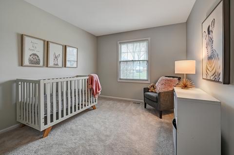 1458 Pebblestone Cv, Wheaton, IL 60189 photo 14