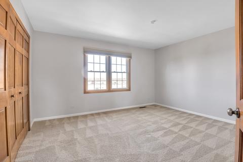 1363 Hunter Cir, Naperville, IL 60540 photo 23