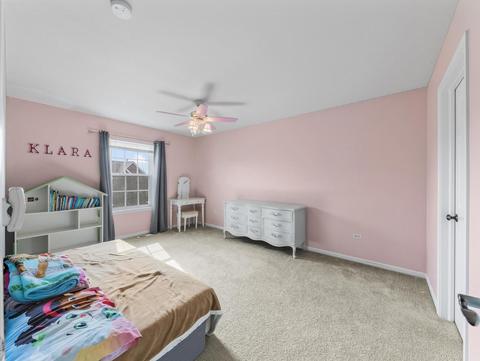 26528 Rustling Birch Way, Plainfield, IL 60585 photo 21