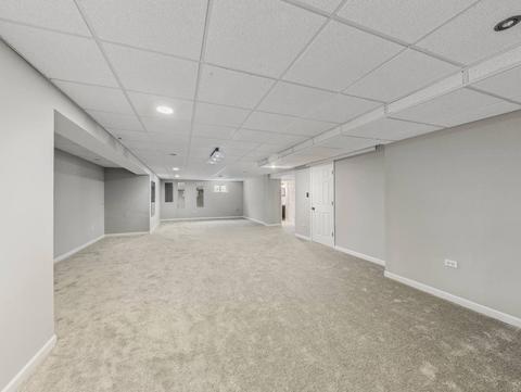 26528 Rustling Birch Way, Plainfield, IL 60585 photo 33