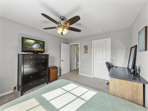 26528 Rustling Birch Way, Plainfield, IL 60585 photo 26