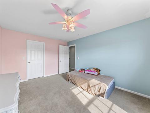 26528 Rustling Birch Way, Plainfield, IL 60585 photo 22