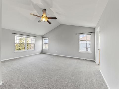 26528 Rustling Birch Way, Plainfield, IL 60585 photo 18