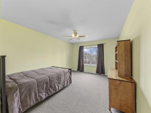 26528 Rustling Birch Way, Plainfield, IL 60585 photo 23