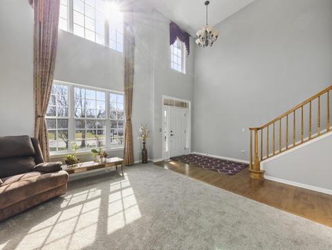 26528 Rustling Birch Way, Plainfield, IL 60585 photo 3