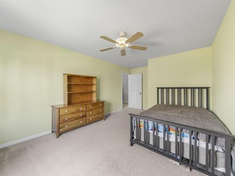 26528 Rustling Birch Way, Plainfield, IL 60585 photo 24