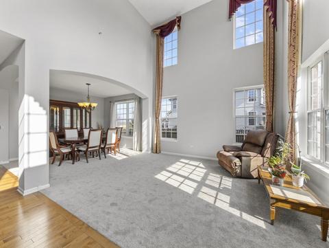 26528 Rustling Birch Way, Plainfield, IL 60585 photo 4