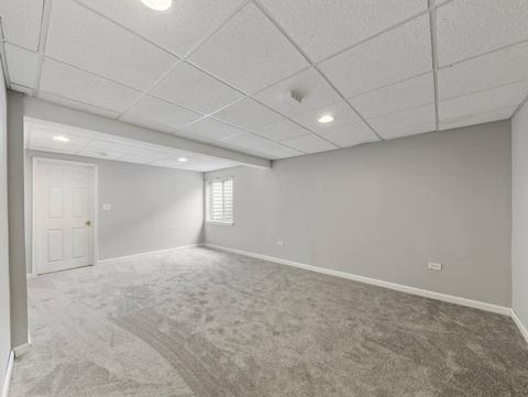 26528 Rustling Birch Way, Plainfield, IL 60585 photo 30