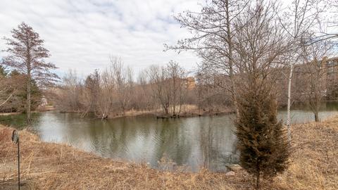 6571 Snug Harbor Dr, Willowbrook, IL 60527 photo 33