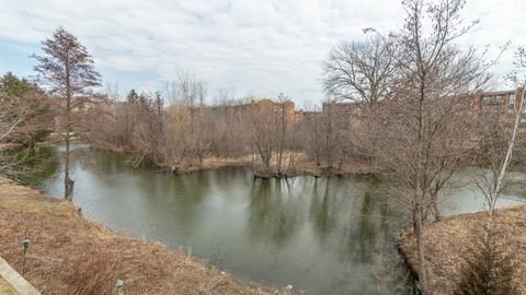 6571 Snug Harbor Dr, Willowbrook, IL 60527 photo 15