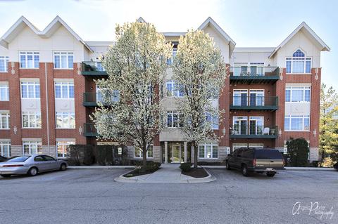 640 Mchenry Rd #207, Wheeling, IL 60090 photo 2