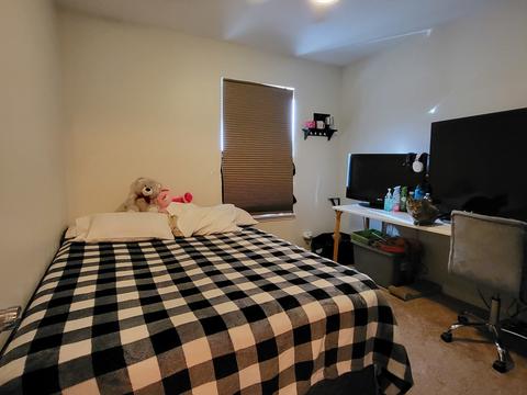 1200 Spring Creek Rd, Elgin, IL 60120 photo 10