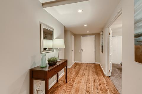 40 E 9th St #308, Chicago, IL 60605 photo 4