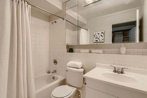 40 E 9th St #308, Chicago, IL 60605 photo 14