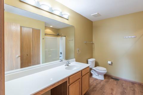 328 Aster Dr, Minooka, IL 60447 photo 13