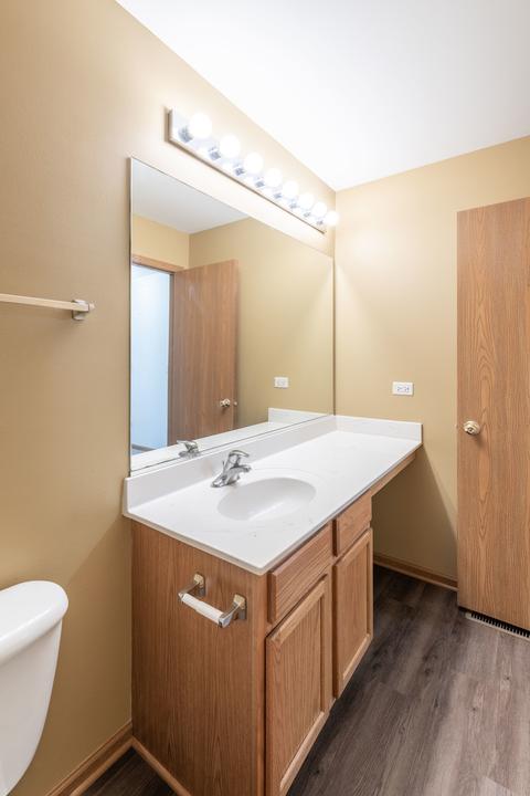 328 Aster Dr, Minooka, IL 60447 photo 21