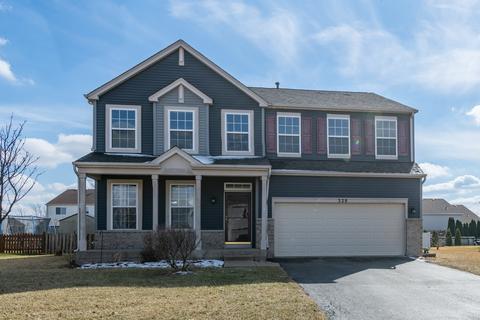 328 Aster Dr, Minooka, IL 60447 photo 1