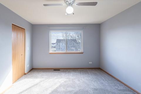 328 Aster Dr, Minooka, IL 60447 photo 19